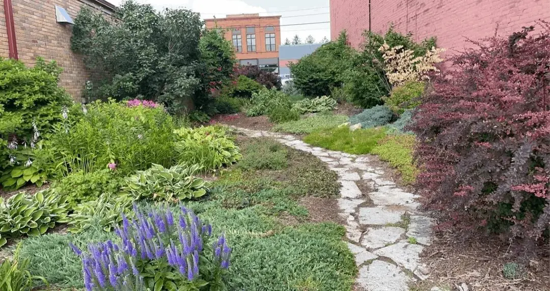 A garden with many plants and flowers in it